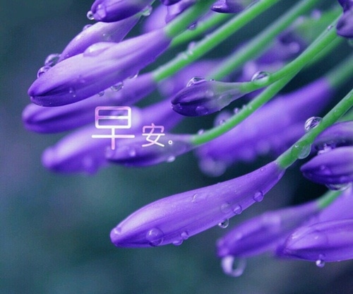 微信朋友圈早安一句话 早安朋友圈说说带图片