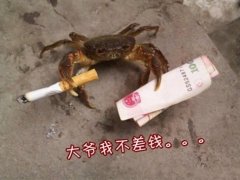 一针见血的搞笑金句,让你开心又解压!