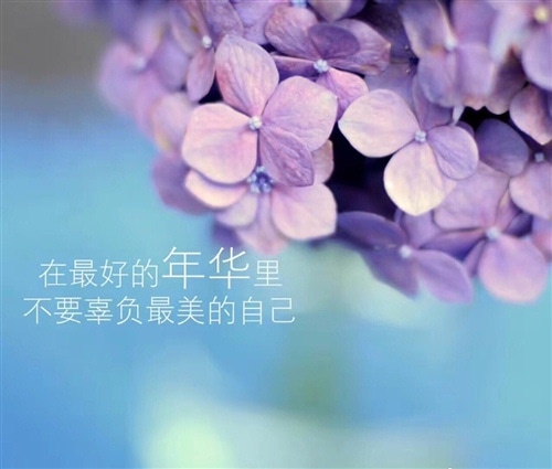 有一种痛叫撕心裂肺的说说