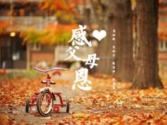 亏欠父母太多经典感言 对父母愧疚简短的说说