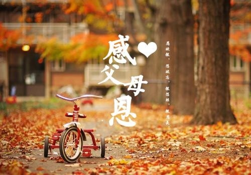 亏欠父母太多经典感言 对父母愧疚简短的说说