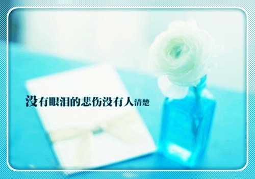 治愈系的简短心情语录，句句温暖！