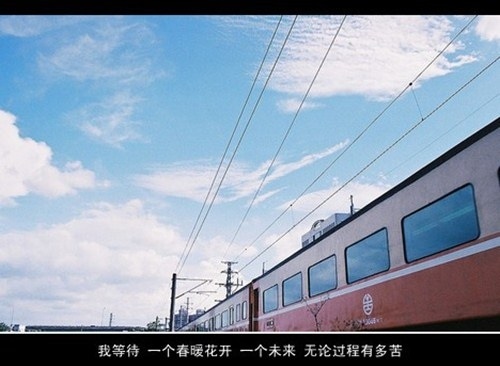 原谅我的任性的说说
