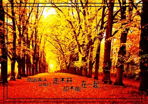 吃得苦中苦的说说