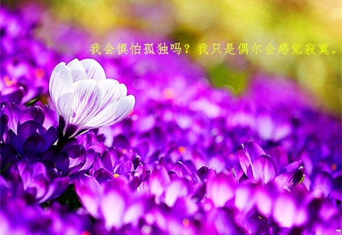 一个人担惊受怕的句子