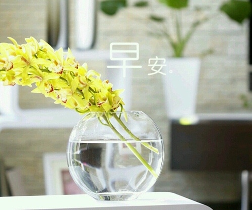 微信朋友圈发说说早上好