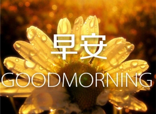 微信朋友圈发说说早上好