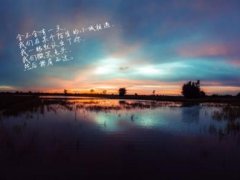 关于美好芳华的句子，愿芳华永存一路芬芳！