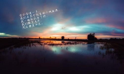 关于美好芳华的句子,愿芳华永存一路芬芳!