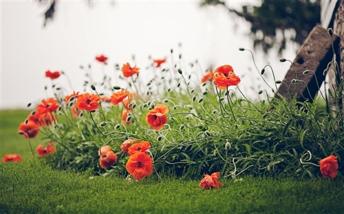 我们只能做朋友的说说