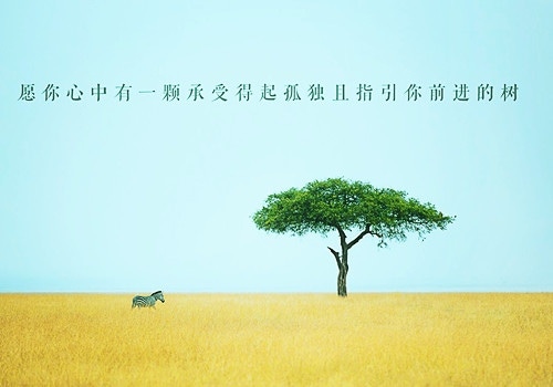 文艺暖心的短句子说说心情短语