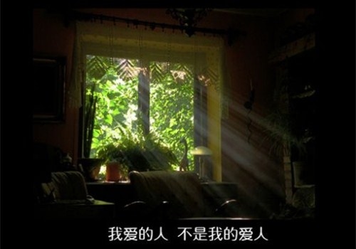 过一天算一天的说说 伤感说说活一天算一天