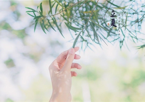 2019立夏的朋友圈说说 关于立夏的说说