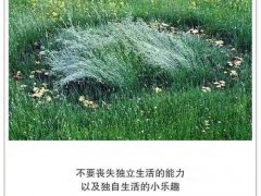 为新的一天加油的句子 新的一天新的奋斗句子