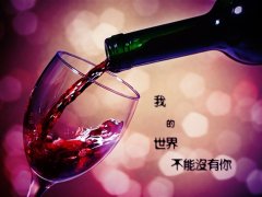 心情不好一醉方休的说说 深夜喝醉酒的伤感说说