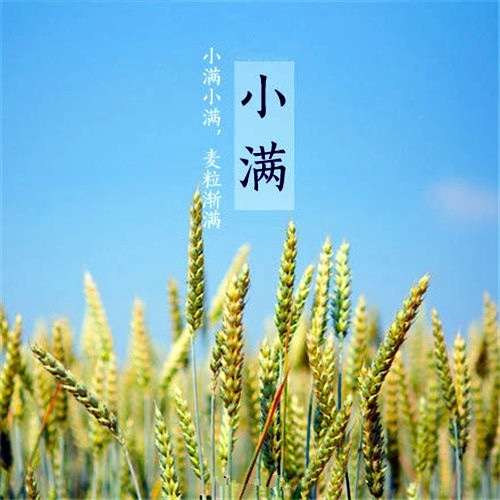 关于小满的朋友圈说说 二十四节气小满的说说