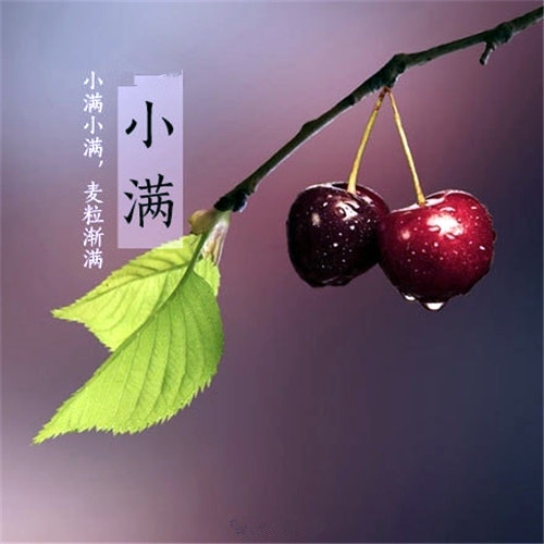 关于小满的朋友圈说说 二十四节气小满的说说