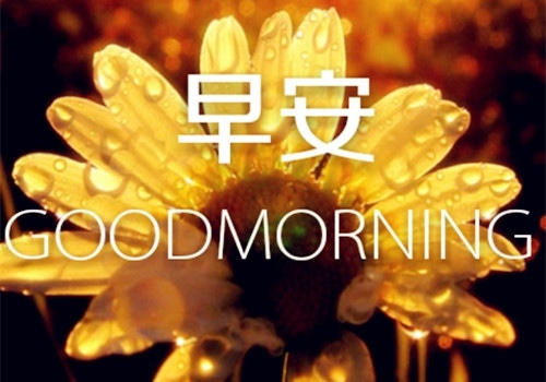 早上发朋友圈的说说带图片