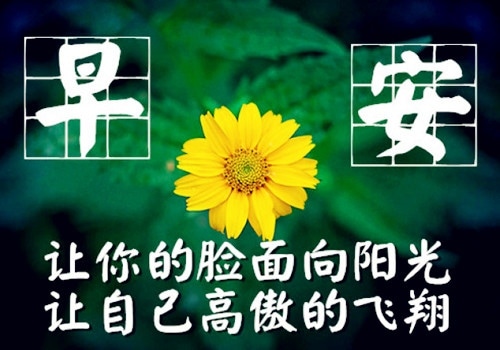 早上发朋友圈的说说带图片