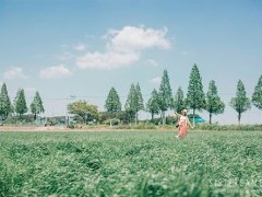 适合手帐的小清新句子 女生手帐清新句子