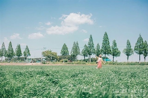 适合手帐的小清新句子 女生手帐清新句子