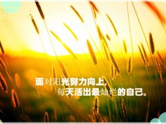 写给堕落的人的一段话 鼓励堕落的人的句子