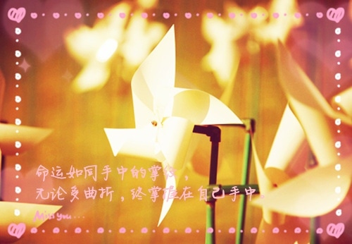 为什么努力的抒情说说 努力变优秀的说说