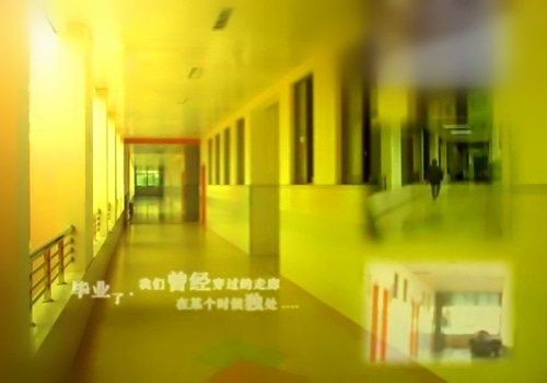 抖音上感人的句子毕业 抖音上的毕业留言