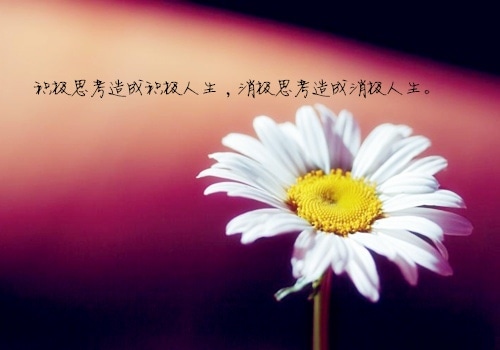 奋斗拼搏努力的一段话 送给拼搏的人的一些话