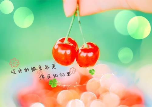 关于思念亲人的优美句子