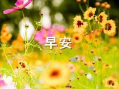2020下半年适合发朋友圈的早安唯美句子
