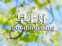 早安正能量的唯美句子,问候早安的句子摘抄