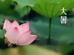 2021大暑节气唯美短信问候语