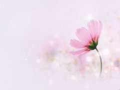 100句关于对爱情伤感、落泪有所感悟的句子合集