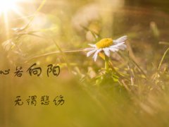 鼓励自己大胆向前、积极追求爱情的爱情句子合集