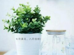 2022最新再见七月八月你好唯美句子说说