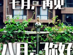 2021再见七月，你好八月心情感悟说说八月请善待我的说说句子