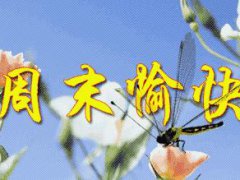 表达周末愉快的祝福说说 周末愉快出游的说说唯美句子