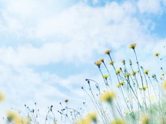 100句朋友圈感悟人生的经典感悟句子合集