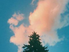 关于成长的感悟句子，感悟生活的真谛的经典句子合集