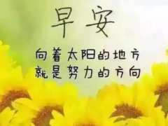 适合发朋友圈的早安正能量语录精选2020微商励志早安语录
