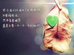 个性说说_你的个性说说需要它们