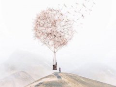 放在QQ、朋友圈送给自己、激励自己向上的励志短语合集