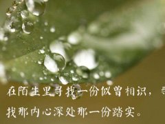 心情说说_百般心情,百般形容刚好适合你。