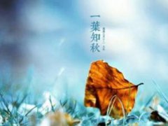 今日立秋图片说说2021年最新立秋唯美句子