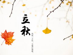 2021年最新的关于立秋的经典谚语句子合集