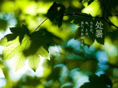 处暑:关于天气很热的朋友圈优美句子合集