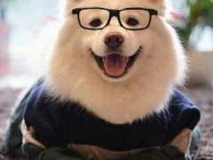 2021七夕情人节单身狗说说,句句伤感催泪