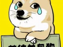 2021年七夕情人节适合单身狗发的说说