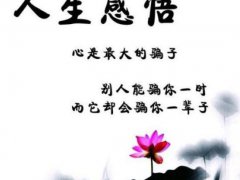 经典说说_经典的人生专配经典的文学话语